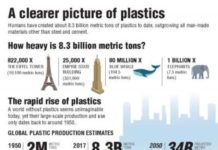 More than 8. 3 billion tons of plastics made: Most has now been discarded