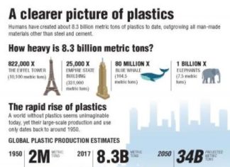 More than 8. 3 billion tons of plastics made: Most has now been discarded