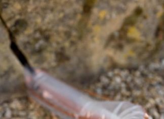 New type of soft-growing robot created