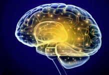 Patterns of Brain Activity Direct Specific Body Movements