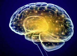 Patterns of Brain Activity Direct Specific Body Movements