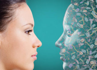 Research Suggests Association Between Gut Bacteria and Emotion