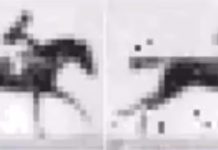 Scientists Replay Movie Encoded in DNA