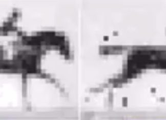 Scientists Replay Movie Encoded in DNA