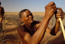 First big efforts to sequence ancient African DNA reveal how early humans swept across the continent