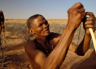 First big efforts to sequence ancient African DNA reveal how early humans swept across the continent