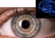 Israeli researchers look into eyes for early signs of Alzheimer’s