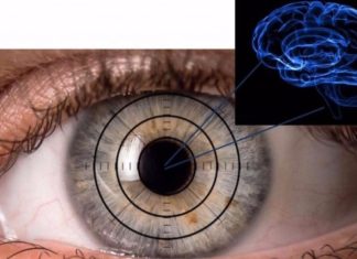 Israeli researchers look into eyes for early signs of Alzheimer’s