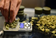 Muted Stress Response Linked to Long Term Cannabis Use