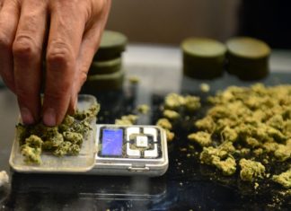 Muted Stress Response Linked to Long Term Cannabis Use