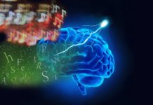 Controlling a Single Brain Chemical May Help Expand Window for Learning Language and Music