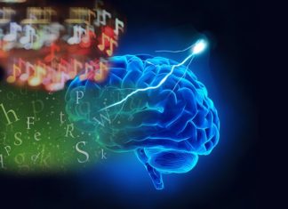 Controlling a Single Brain Chemical May Help Expand Window for Learning Language and Music