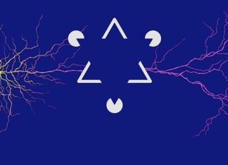 Synapses in the Brain Mirror the Structure of the Visual World