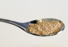 Finnish Researchers Create Protein from electricity