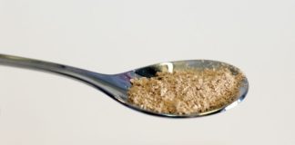 Finnish Researchers Create Protein from electricity