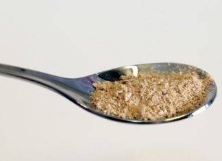 Finnish Researchers Create Protein from electricity