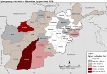 Afghanistan : Taliban rise opium production – SIGAR questions millions spent in Afghanistan