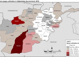 Afghanistan : Taliban rise opium production – SIGAR questions millions spent in Afghanistan