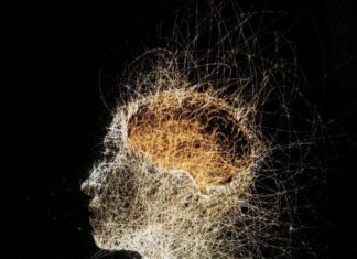 Does Widespread Pain Spread From the Brain ?