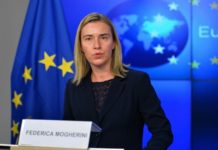 EU foreign policy chief Federica Mogherini under fire after info request reveals 75000 Euros of travel costs