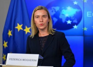 EU foreign policy chief Federica Mogherini under fire after info request reveals 75000 Euros of travel costs