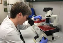 ISREAL : Gamida hopes to launch its first product for blood cancer patients in 2020