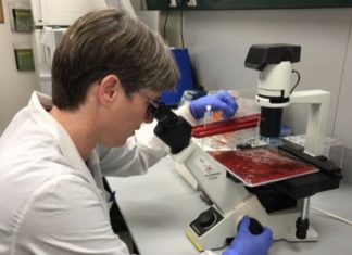 ISREAL : Gamida hopes to launch its first product for blood cancer patients in 2020