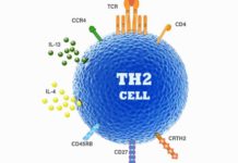 Got allergies? Scientists may have finally pinpointed the cells that trigger reactions