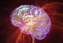 Healthy Glucose Levels Key to a Healthy Aging Brain