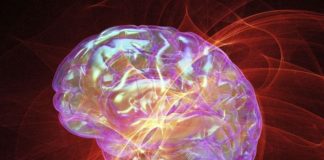 Healthy Glucose Levels Key to a Healthy Aging Brain
