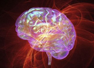 Healthy Glucose Levels Key to a Healthy Aging Brain