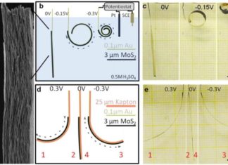 Nano-sized device lifts 165 times its own weight – Acting like a muscle