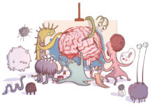 New Light on Link Between Gut Bacteria and Anxiety
