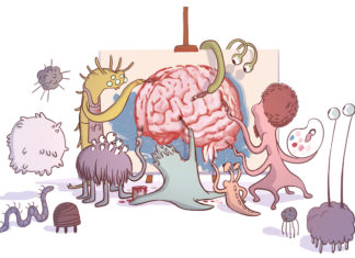 New Light on Link Between Gut Bacteria and Anxiety