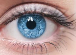 New research shows that people with blue eyes have a single common ancestor