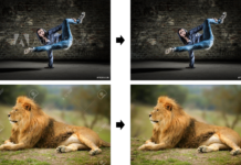 Google’ software shows how to remove watermarks from Stock photos