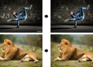Google’ software shows how to remove watermarks from Stock photos