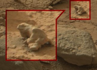 Curiosity rover : Strangest things from Mars