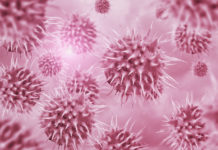 Unknown virus discovered in throwaway DNA