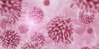 Unknown virus discovered in throwaway DNA