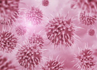 Unknown virus discovered in throwaway DNA