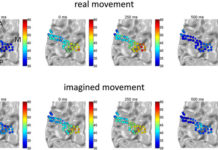 Artificial neural networks decode brain activity during performed and imagined movements