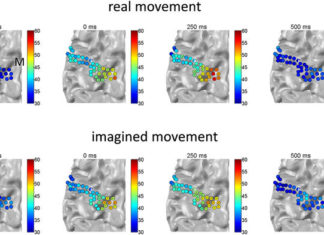 Artificial neural networks decode brain activity during performed and imagined movements