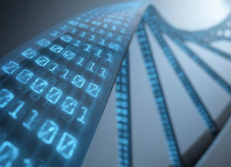 Now it’s possible to storage data at the molecular level