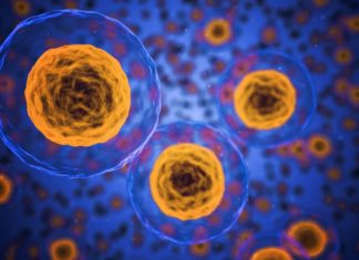 Research : Trip the Nanoswitch To Improve Health Monitoring