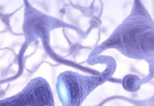 Developed a newly model to treat a range of neurological diseases