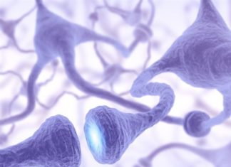 Developed a newly model to treat a range of neurological diseases