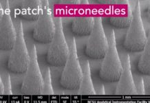Microneedle skin patch that delivers fat-shrinking drug locally could be used to treat obesity and diabetes