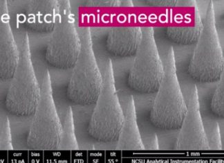 Microneedle skin patch that delivers fat-shrinking drug locally could be used to treat obesity and diabetes