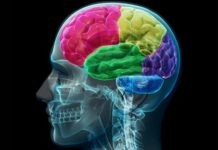 Sleep deprivation is an effective anti-depressant